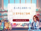 【核心素養(yǎng)優(yōu)質(zhì)課】教科版科學三年級下冊2.5 繭中鉆出了蠶蛾（教學課件+同步教案含反思）