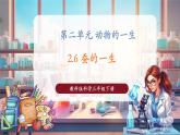 【核心素養(yǎng)優(yōu)質課】教科版科學三年級下冊2.6 蠶的一生（教學課件+同步教案含反思）