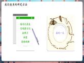 【核心素養(yǎng)優(yōu)質課】教科版科學三年級下冊2.6 蠶的一生（教學課件+同步教案含反思）