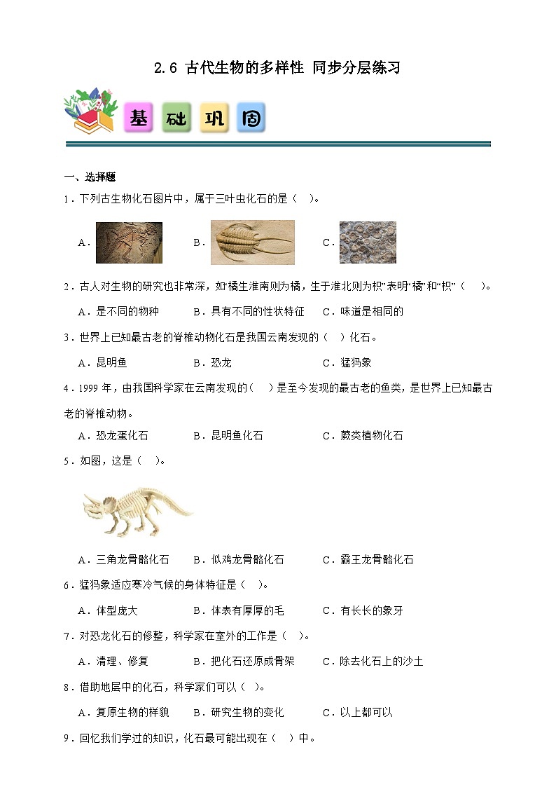 2.6 古代生物的多样性 同步分层练习（含答案）-教科版六年级下册科学第1页