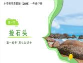 第1課 撿石頭 課件 科學蘇教版（2024）一年級下冊