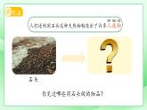 第1課 撿石頭 課件 科學蘇教版（2024）一年級下冊