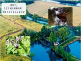 第1課 我們周圍的動(dòng)物 課件 科學(xué)教科版（2024）一年級下冊