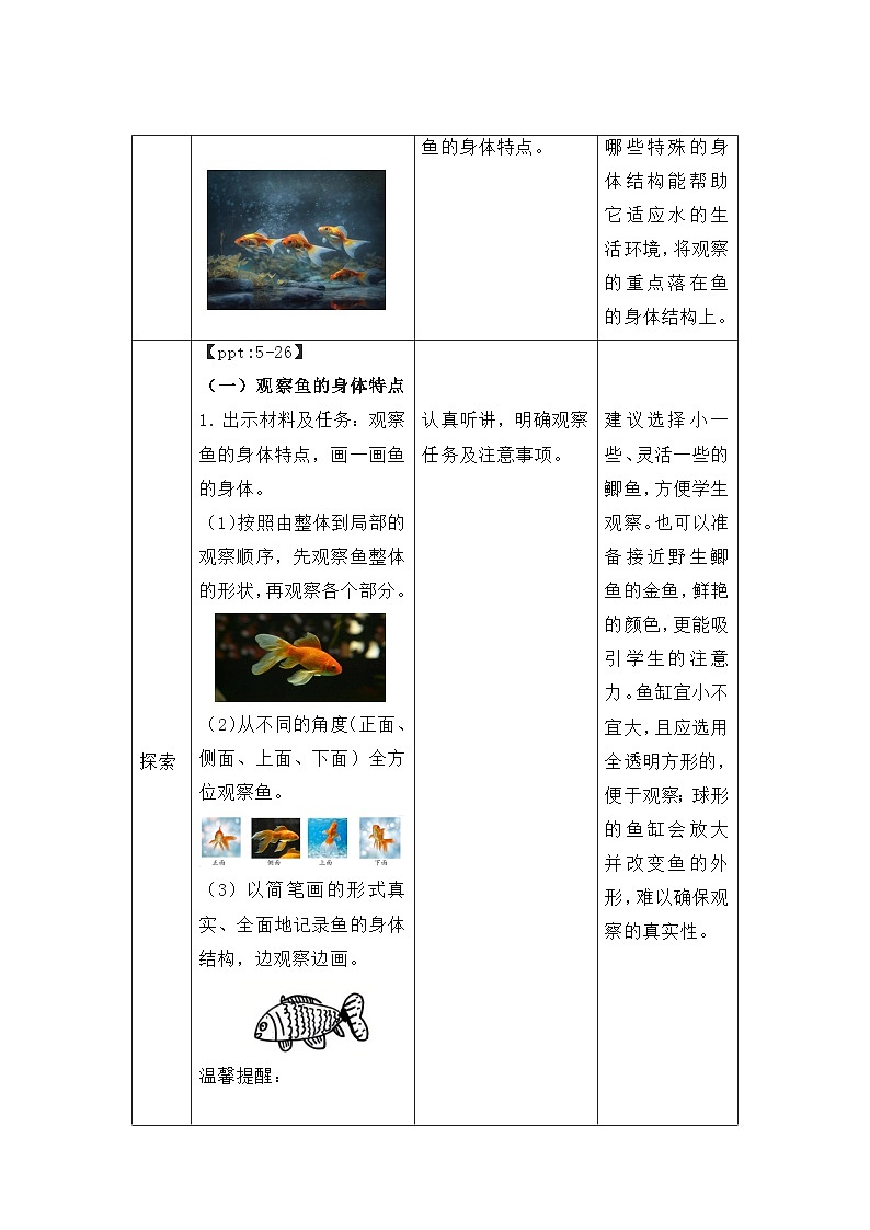 第4课 水中的动物 教案 科学教科版（2024）一年级下册第3页