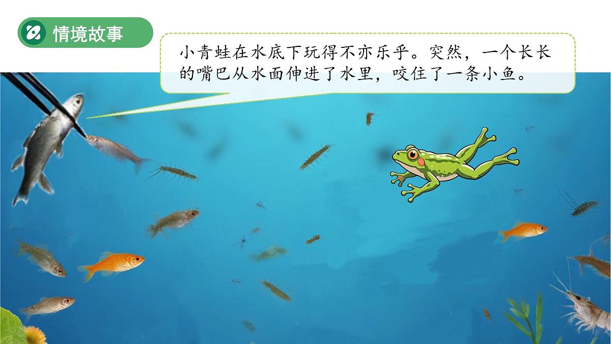 第5课 它们吃什么 课件 科学教科版（2024）一年级下册第2页