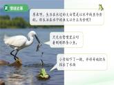第5課 它們吃什么 課件 科學(xué)教科版（2024）一年級(jí)下冊(cè)