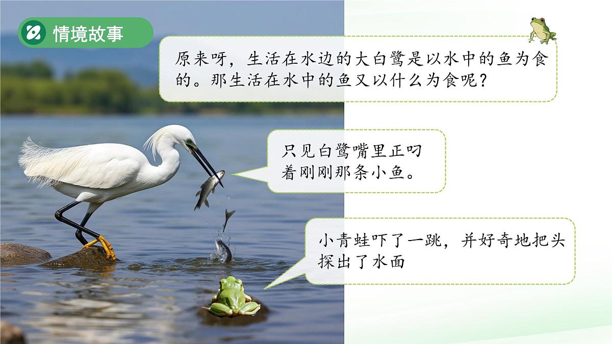 第5课 它们吃什么 课件 科学教科版（2024）一年级下册第3页