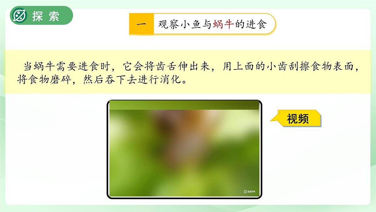 第5课 它们吃什么 课件 科学教科版（2024）一年级下册第8页