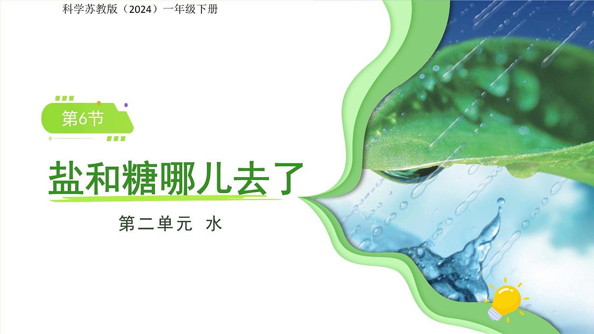 第6课 盐和糖哪儿去了 课件 科学苏教版（2024）一年级下册第1页
