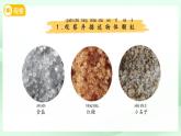 第6課 鹽和糖哪兒去了 課件 科學蘇教版（2024）一年級下冊