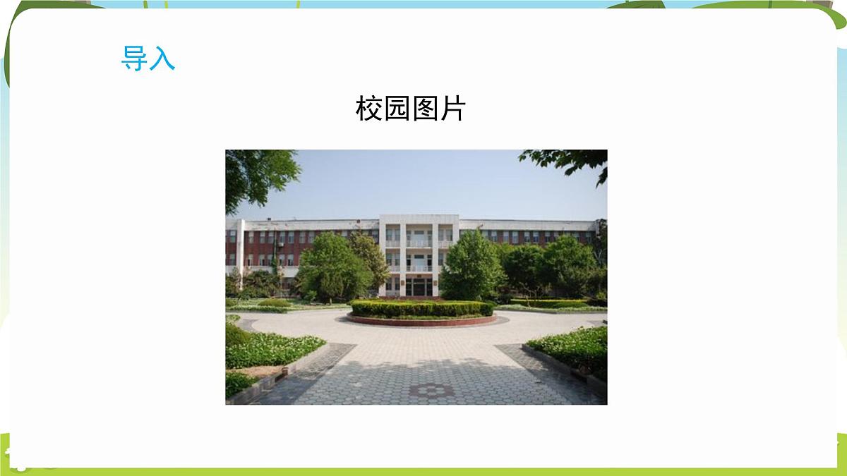 冀人版（2024）科学一年下册 1.1 认识植物（课件）第2页