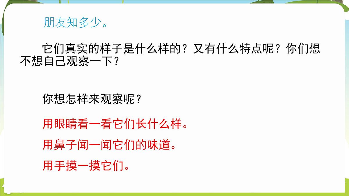 冀人版（2024）科学一年下册 1.1 认识植物（课件）第5页