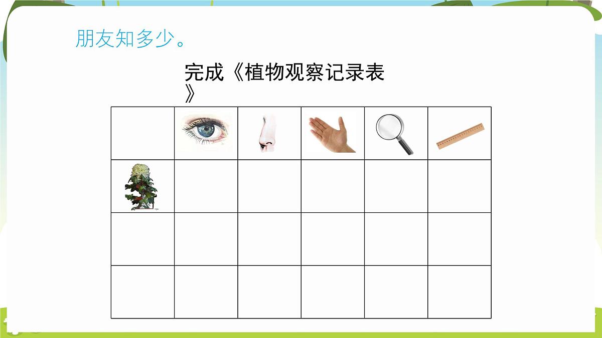 冀人版（2024）科学一年下册 1.1 认识植物（课件）第7页