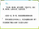 冀人版（2024）科學(xué)一年下冊 1.2 認(rèn)識動物（課件）