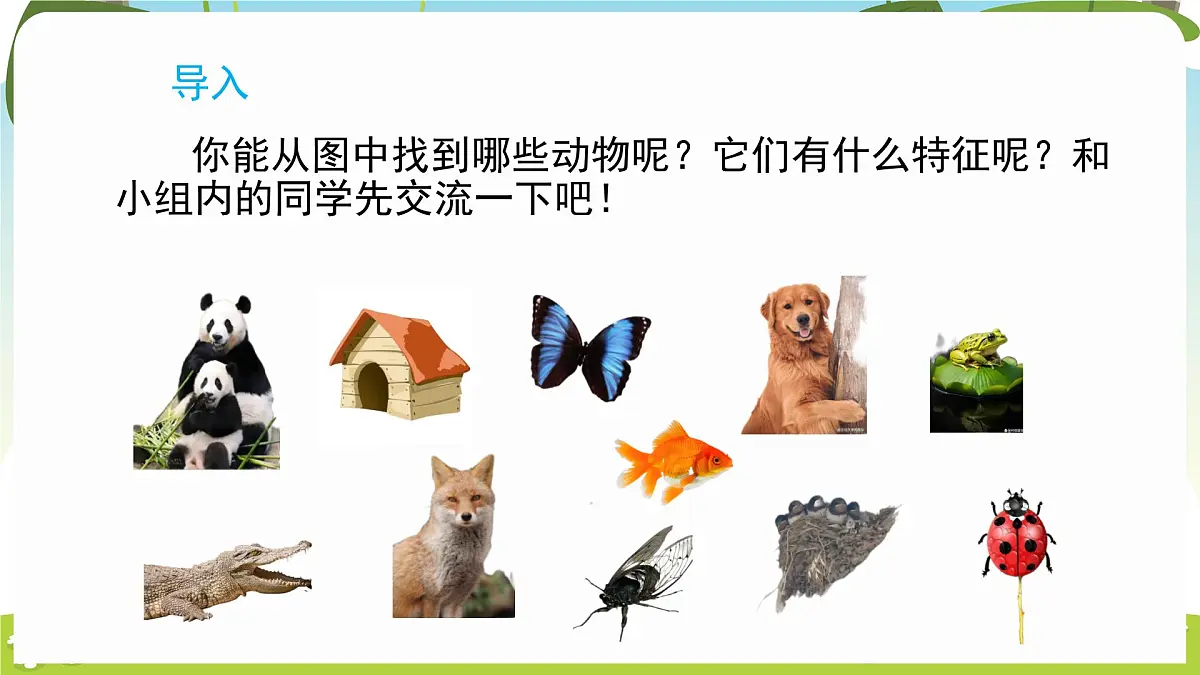 冀人版（2024）科学一年下册 1.2 认识动物（课件）第3页