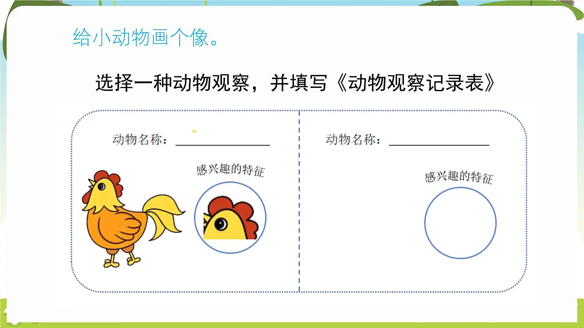 冀人版（2024）科学一年下册 1.2 认识动物（课件）第6页