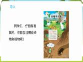 冀人版（2024）科學(xué)一年下冊 2.7 動(dòng)植物的家（課件）