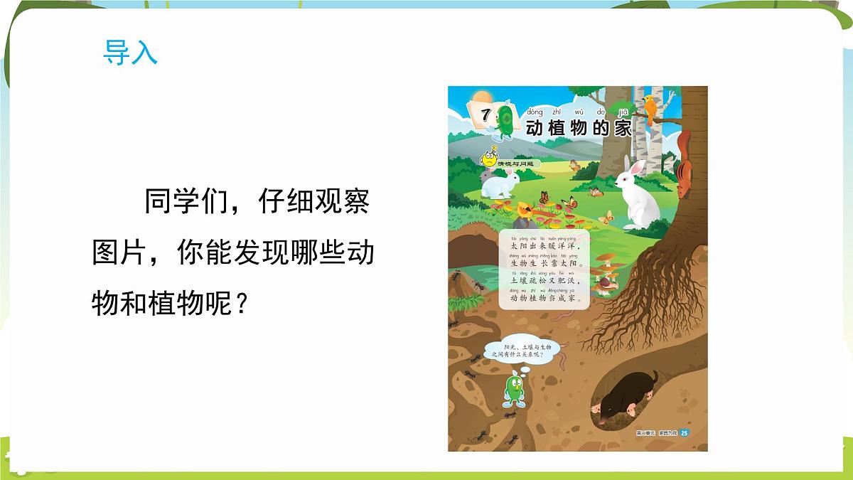 冀人版（2024）科学一年下册 2.7 动植物的家（课件）第2页