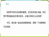 冀人版（2024）科學(xué)一年下冊 2.7 動(dòng)植物的家（課件）