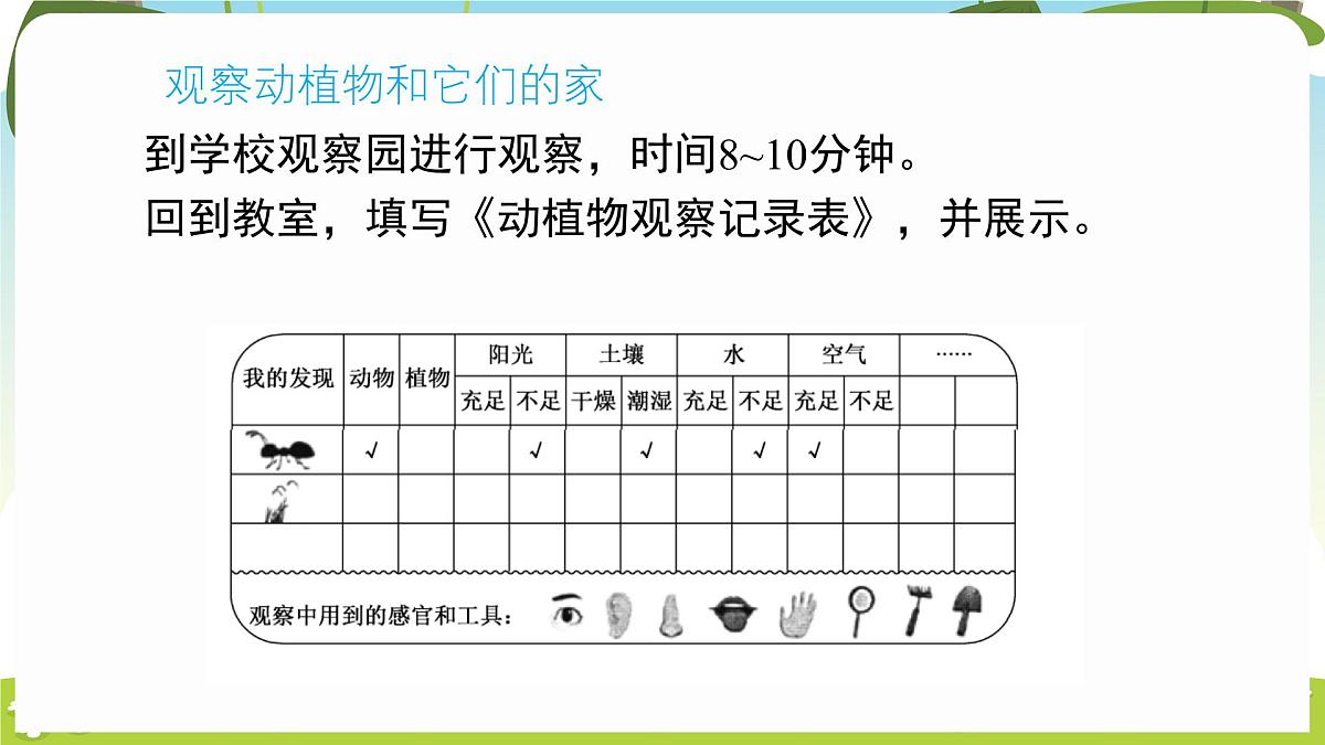 冀人版（2024）科学一年下册 2.7 动植物的家（课件）第6页
