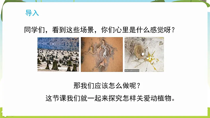 冀人版（2024）科学一年下册 3.9 关爱行动（课件）第3页