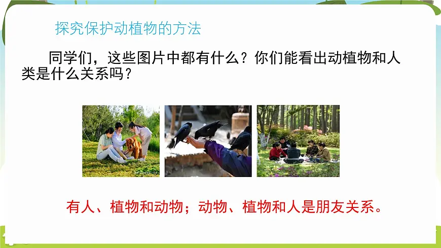 冀人版（2024）科学一年下册 3.9 关爱行动（课件）第4页