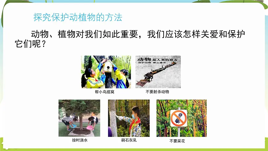 冀人版（2024）科学一年下册 3.9 关爱行动（课件）第6页