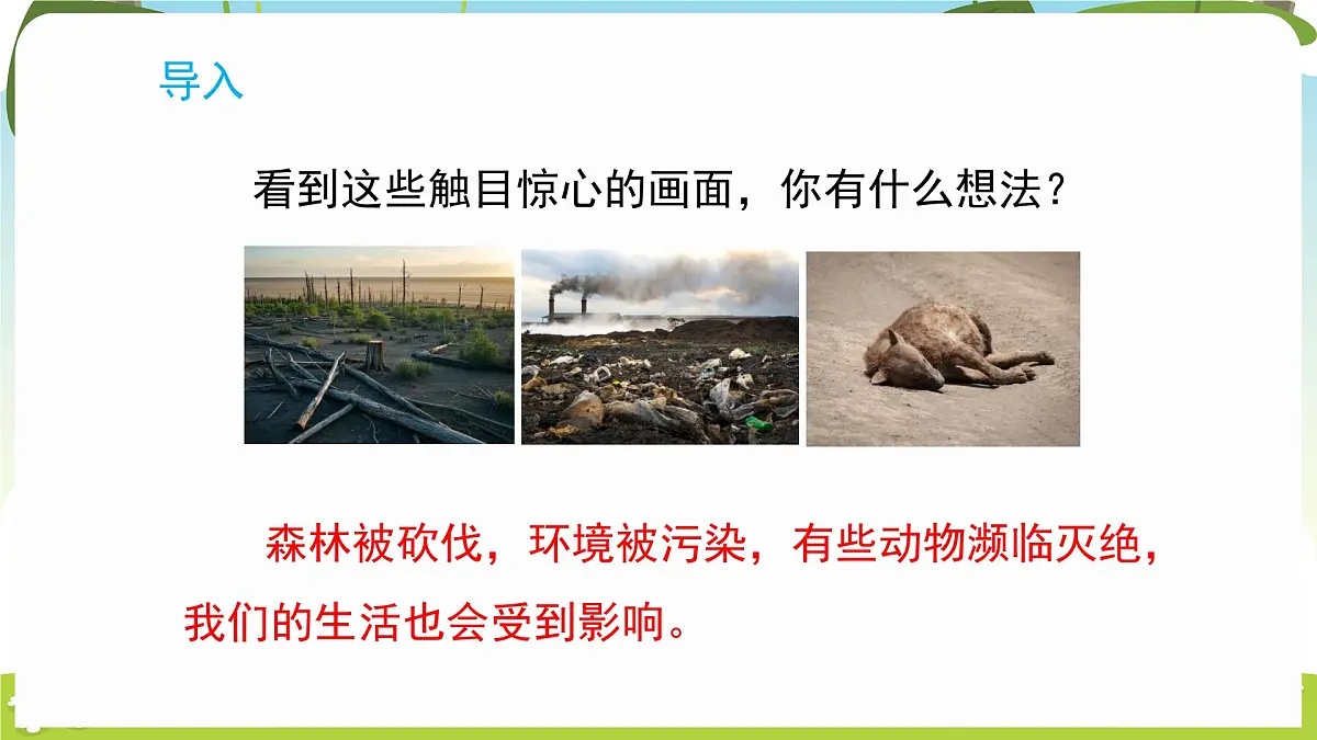 冀人版（2024）科学一年下册 3.11 和谐共生（课件）第2页