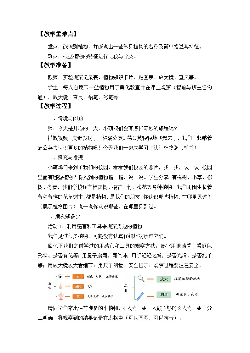 第1课 认识植物 教案 科学冀人版（2024）一年级下册第3页