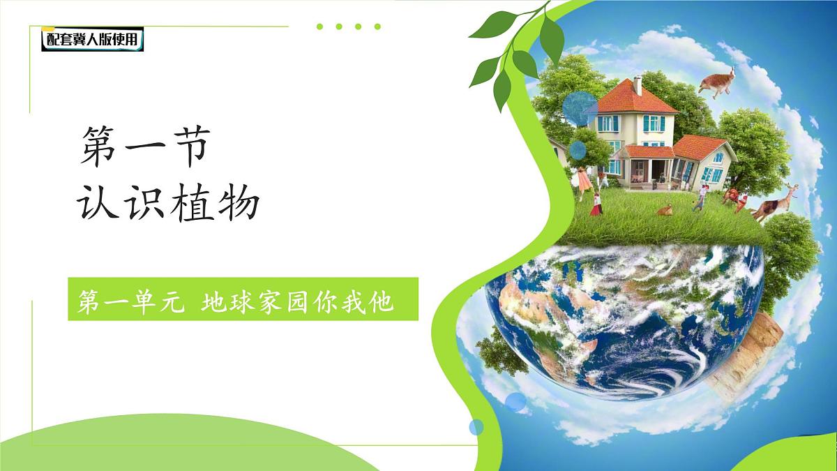 第1课 认识植物 课件 科学冀人版（2024）一年级下册第1页