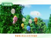 第1課 認識植物 課件 科學冀人版（2024）一年級下冊