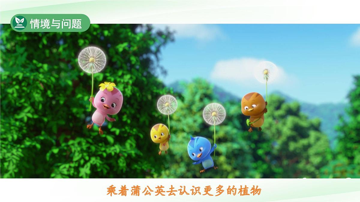 第1课 认识植物 课件 科学冀人版（2024）一年级下册第3页