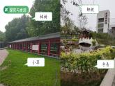 第1課 認識植物 課件 科學冀人版（2024）一年級下冊