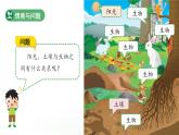 第7課 動植物的家 課件 科學冀人版（2024）一年級下冊