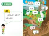 第7課 動植物的家 課件 科學冀人版（2024）一年級下冊