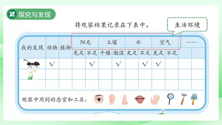 第7课 动植物的家 课件 科学冀人版（2024）一年级下册第6页