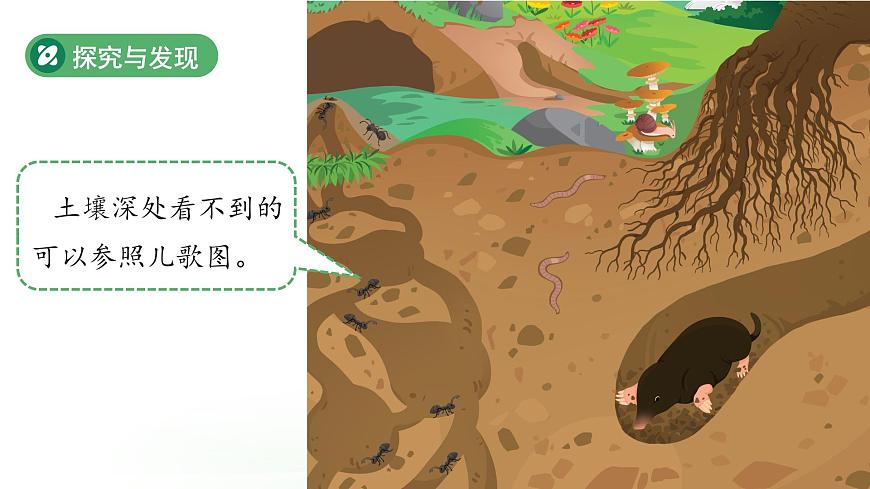 第7课 动植物的家 课件 科学冀人版（2024）一年级下册第8页