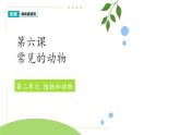 第6課 常見的動物 課件 2024-2025學年科學一年級下冊粵教粵科版（2024）