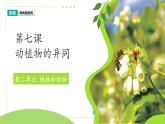 第7課 動植物的異同 課件 2024-2025學年科學一年級下冊粵教粵科版（2024）
