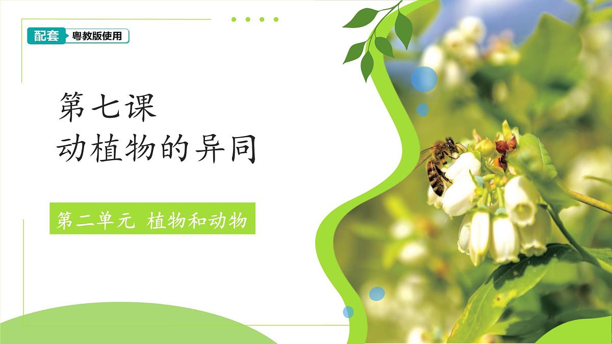 第7课 动植物的异同 课件 2024-2025学年科学一年级下册粤教粤科版（2024）第1页