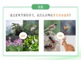 第7課 動植物的異同 課件 2024-2025學年科學一年級下冊粵教粵科版（2024）