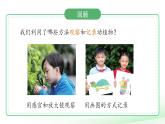 第7課 動植物的異同 課件 2024-2025學年科學一年級下冊粵教粵科版（2024）