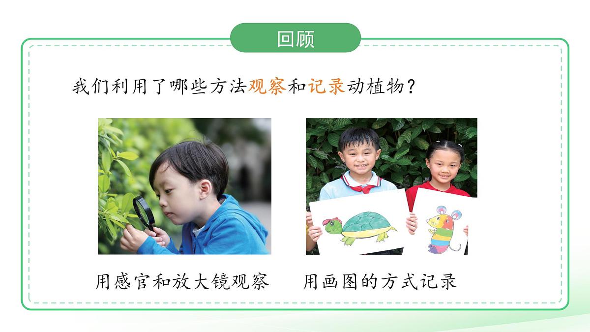 第7课 动植物的异同 课件 2024-2025学年科学一年级下册粤教粤科版（2024）第3页