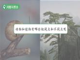 第7課 動植物的異同 課件 2024-2025學年科學一年級下冊粵教粵科版（2024）