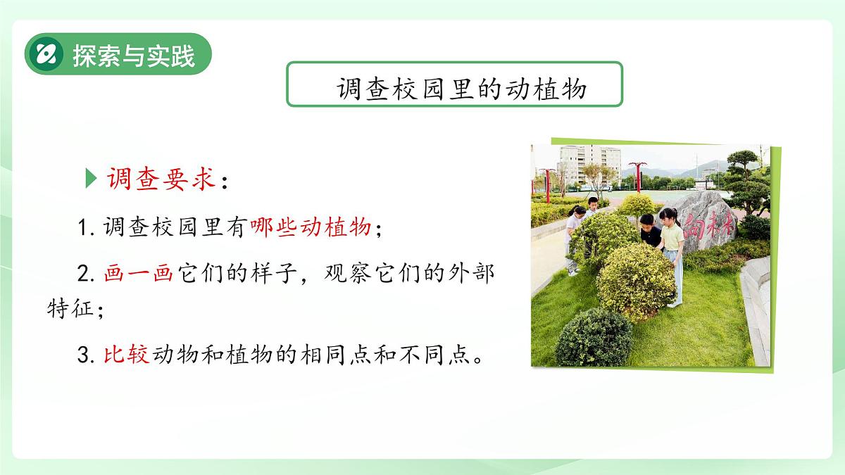 第7课 动植物的异同 课件 2024-2025学年科学一年级下册粤教粤科版（2024）第6页