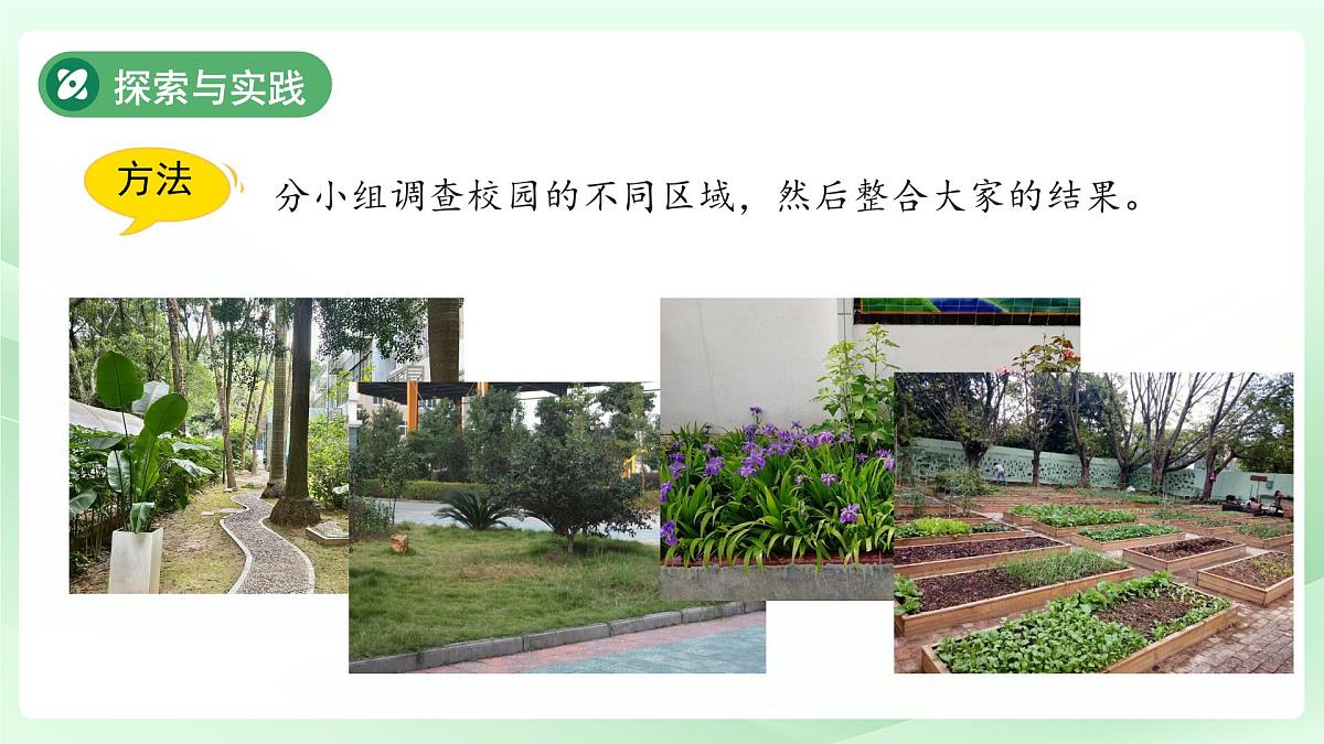 第7课 动植物的异同 课件 2024-2025学年科学一年级下册粤教粤科版（2024）第8页
