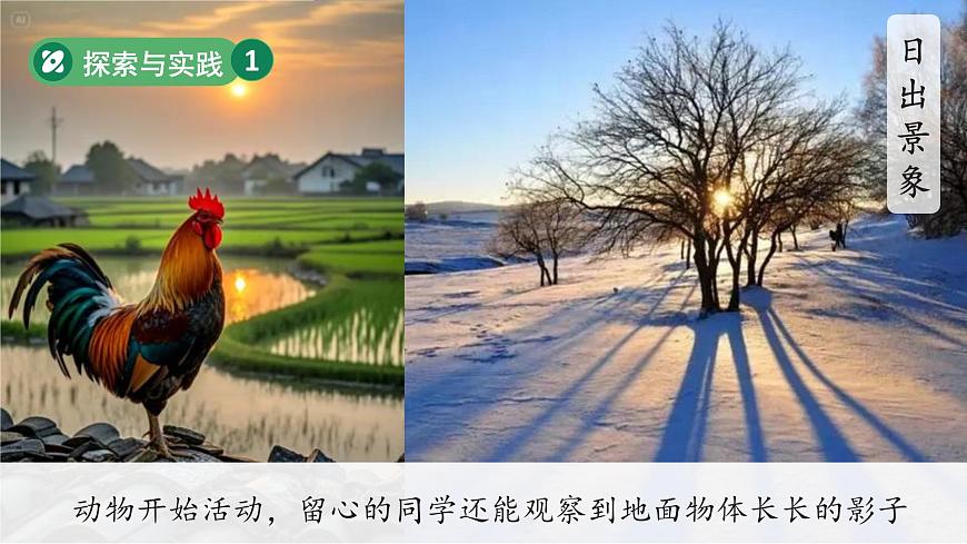 第8课 白天与黑夜 课件 2024-2025学年科学一年级下册粤教粤科版（2024）第7页