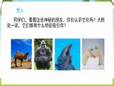 冀人版（2024）科學一年級下冊 1.3 比較動物和植物（課件）