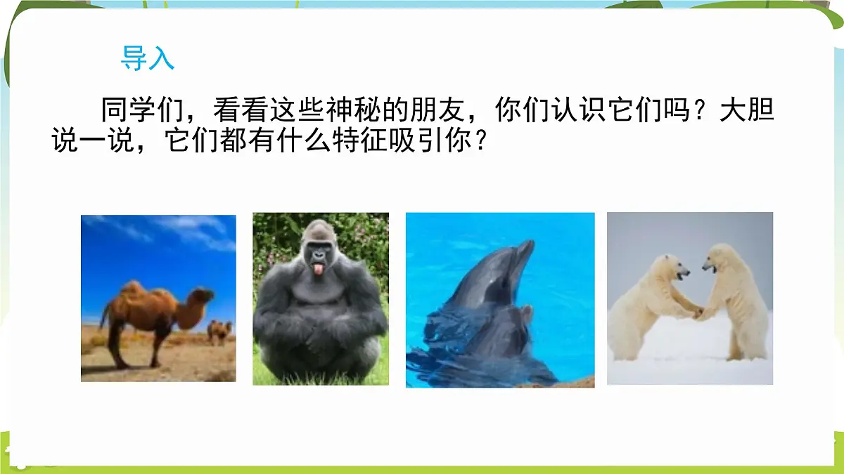 冀人版（2024）科学一年级下册 1.3 比较动物和植物（课件）第2页