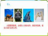 冀人版（2024）科學一年級下冊 1.3 比較動物和植物（課件）